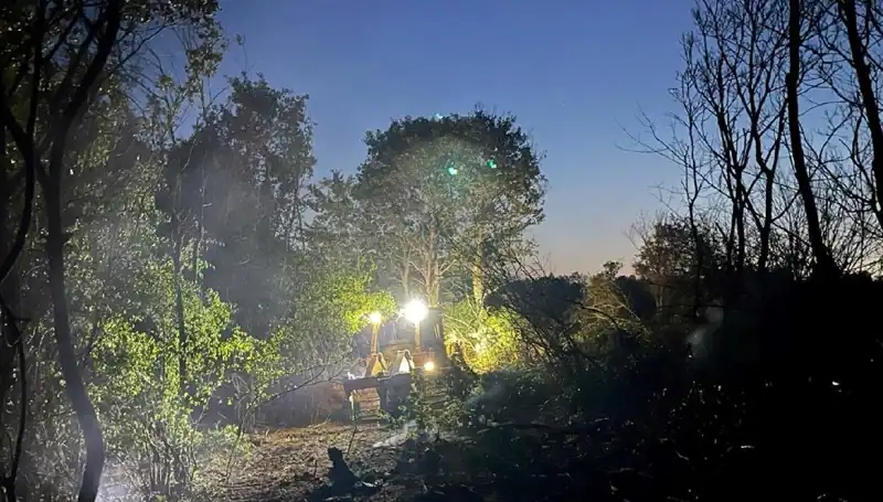 Edirne Orman Yangını Kontrol Altına Alındı: Doğanın Yeniden Hayata Dönüşü