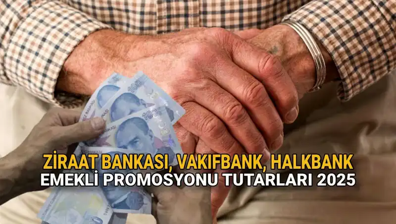 Emekli Banka Promosyonları 2025: Kamu Bankalarından Beklenen Fırsatlar