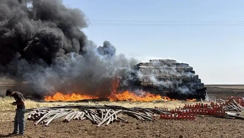Mardin'de Büyük Anız Yangını: Doğa ve Tarım Tehdidi