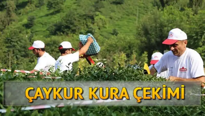 Çaykur Canlı Kura Sayfası: Kura İsimleri ve Nasıl Öğrenilir?