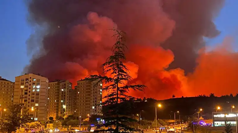 Bursa'da Yangınlar Büyüyor: Şehirdeki Tehlike Her Geçen Gün Artıyor