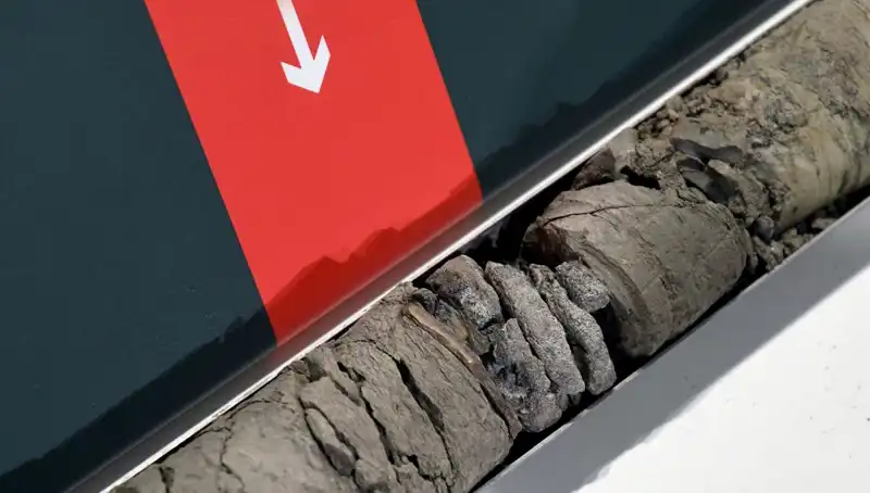 Müze Otoparkında Şaşırtan Keşif: Dinozor Fosili Ortaya Çıktı!