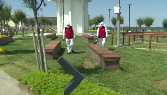 Kene Tehlikesi Artıyor: Halka Açık Alanlarda Acil İlaçlama Başlatıldı