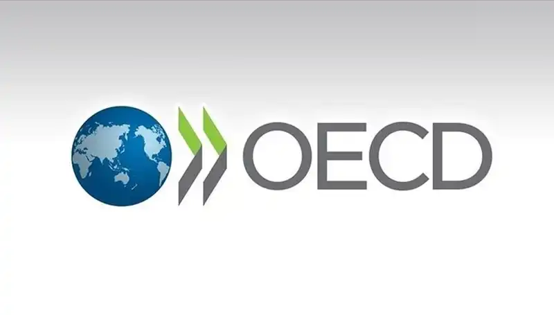 OECD, Türkiye'nin Gelecek Büyüme Tahminini Güncelledi!