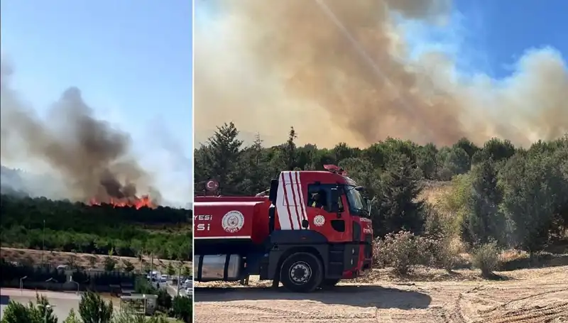Gebze'deki Orman Yangını: Alevler Kenti Tehdit Ediyor, Birçok Alan Zarar Gördü