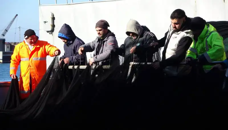 Hamsi Avında Şok Gelişme: Tekneler Erken Paydos Etti!