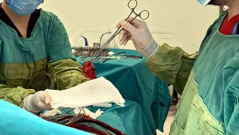 Kalp Kapağı Çürüyen Hastaya 7 Saatlik Ameliyat: Mucizevi Kurtuluş!