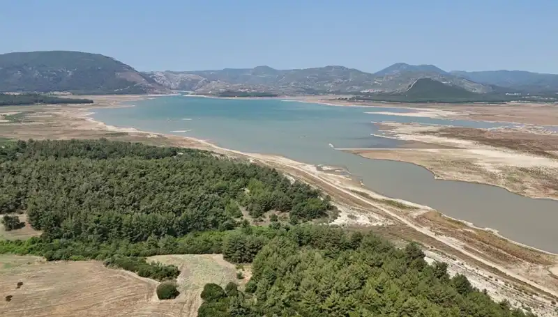 İzmir'de Korkutan Gerçek: Geçen Yıla Göre Yüzde 50 Düşüş Var!