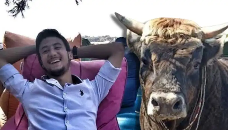 Aydın'da Güreş Boğası Faciası: Yetkili İsimlerden Açıklama Geldi!