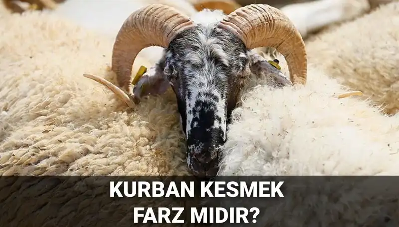 Diyanet'e Göre Kurban Kesmek Farz mı? Şartları ve Hükmü