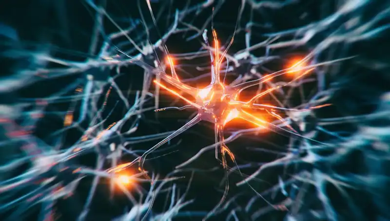 Alzheimer Vakalarında Artışın Asıl Nedenleri ve Gelecekteki Beklentiler