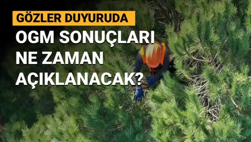 OGM Personel Alımında Bekleyiş Sürüyor: 3.477 Sözleşmeli Alım Sonuçları Hakkında Tüm Ayrıntılar