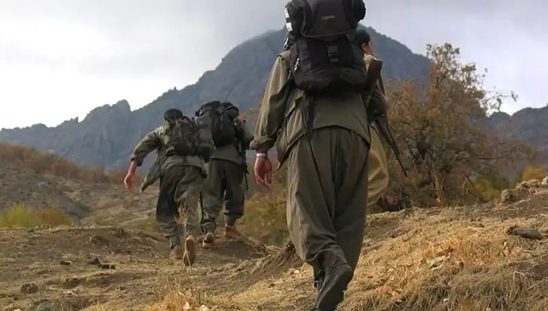 Terörsüz Türkiye'de 48 Saat: Öcalan'ın Mesajı Kandil'e Ulaşıyor!