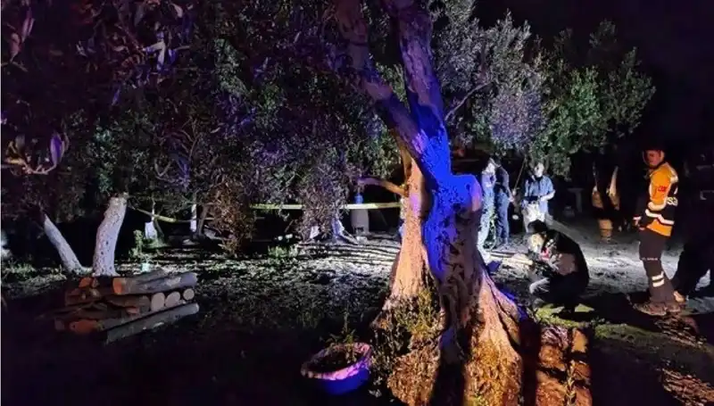 Çiftlikte Baltalı Vahşete Son: İlk Tutuklama Gerçekleşti