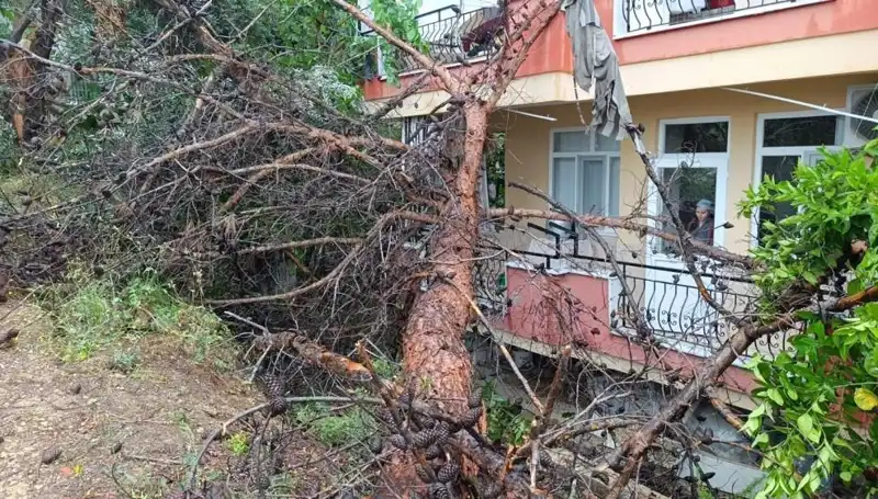 Yağmur Yükü Taşıyamayan Bina Yıkıldı: Kentin Kalbinde Dram