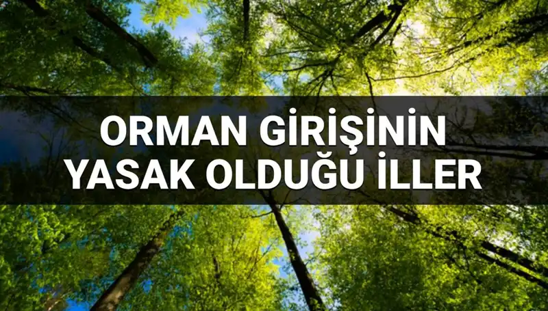 Türkiye'de Ormana Girişin Yasak Olduğu 2025 İlleri Açıklandı