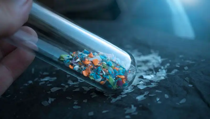 Mikroplastikler İnsan Beynine Sızdı: Sağlığımız İçin Tehlikeli Sonuçlar
