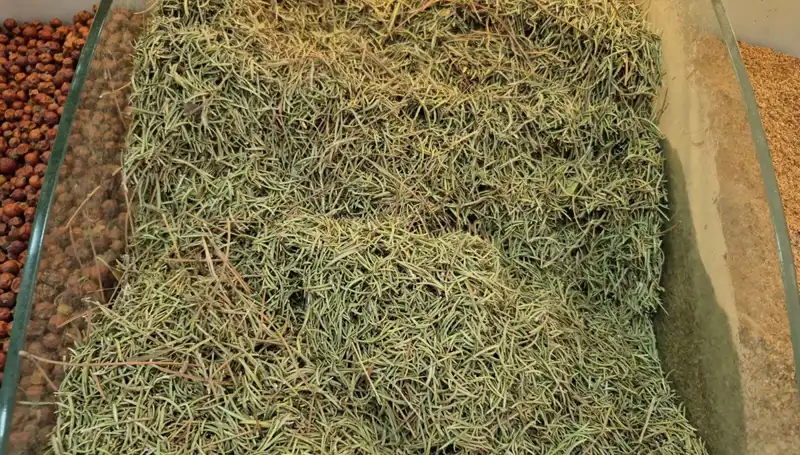 Yaz Aylarının Artan Tehlikesi: Ölüme Kadar Götüren Ürünler İnternette Neden Satılıyor?