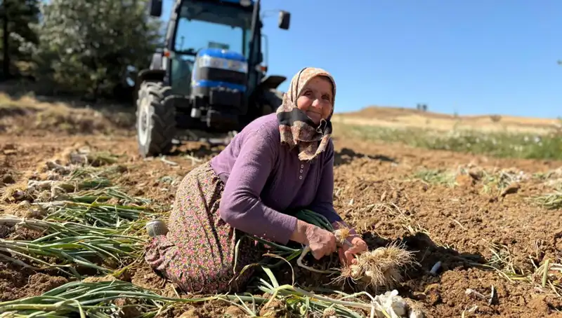 Selenyumun Sırrı: Tarımın Geleceği Bin 200 Liraya Selenyumlu Ürünler