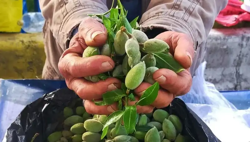 Baharın Müjdecisi: Kilosu 250 TL Olan Taze Yeşilliklerle Dolu Pazar Tezgahları