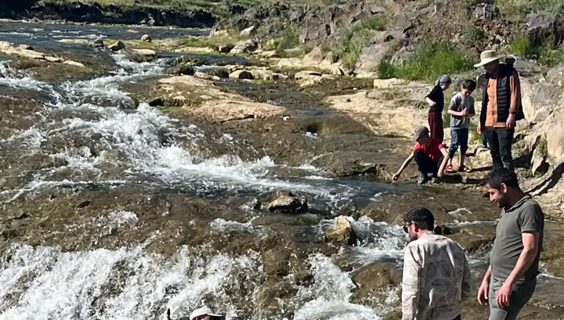 İnci Kefalinin Muhteşem Göçü: Doğa Harikası Turistleri Büyüledi